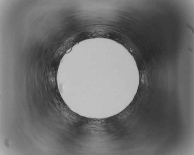 X0000103470771200810241013