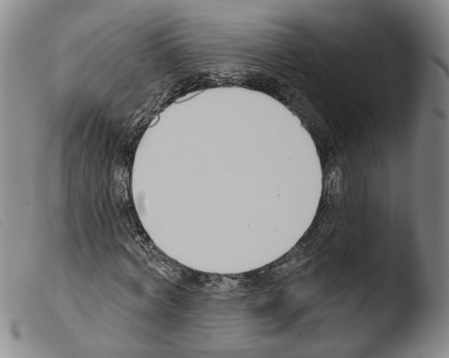 X0000103470772200810241013