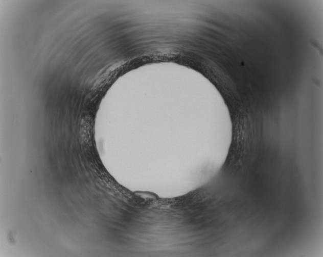X0000103470773200810241013