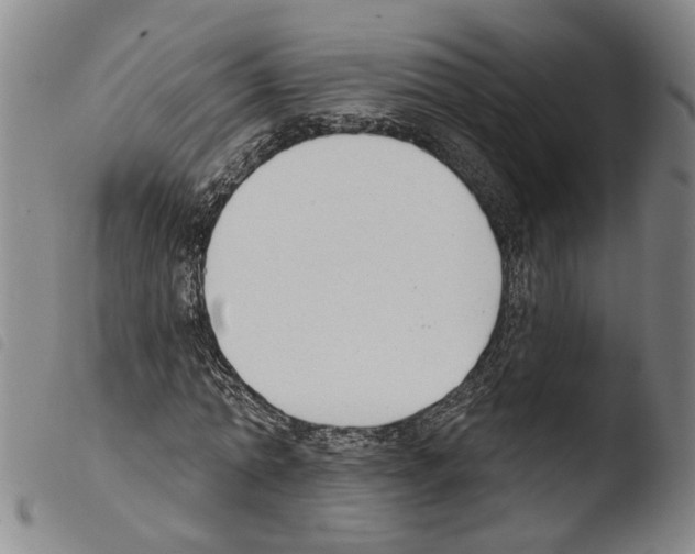 X0000103470774200810241013