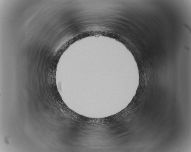 X0000103470775200810241013