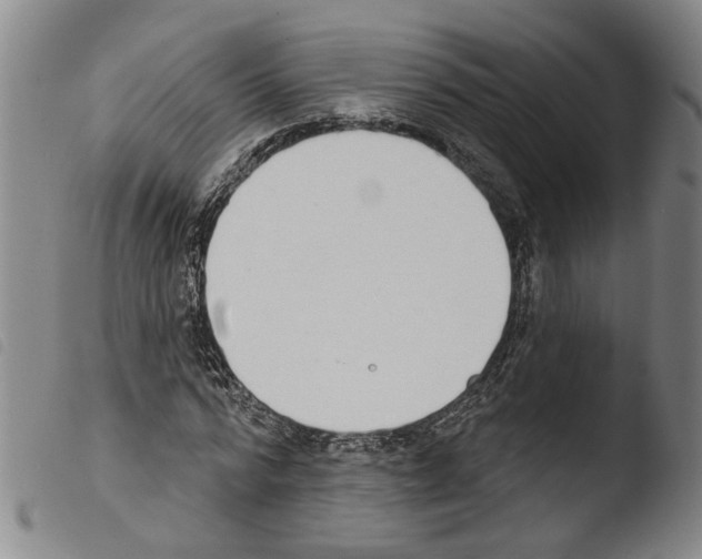 X0000103470776200810241013