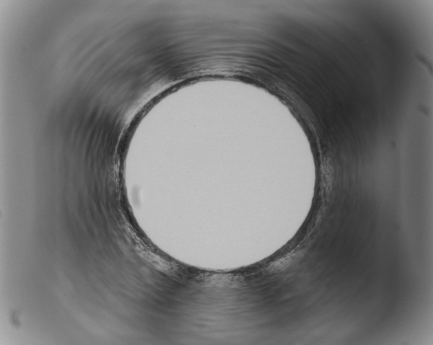 X0000103470779200810241013