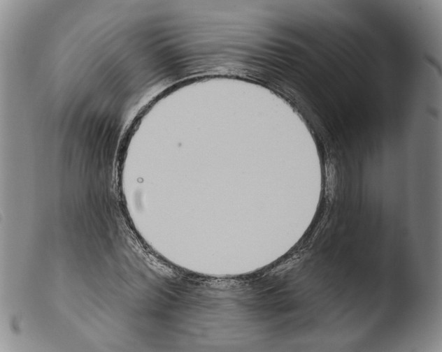 X0000103470780200810241013