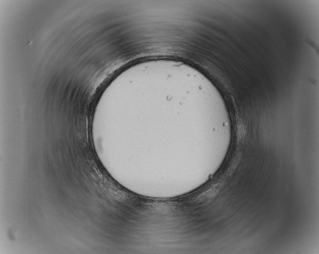 X0000103470781200810241013