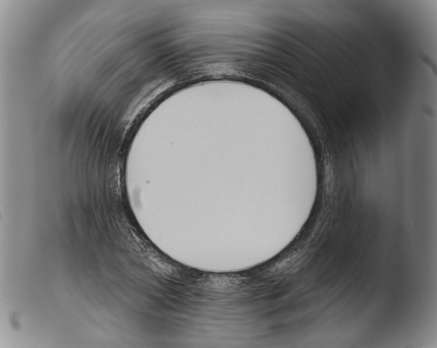 X0000103470782200810241013