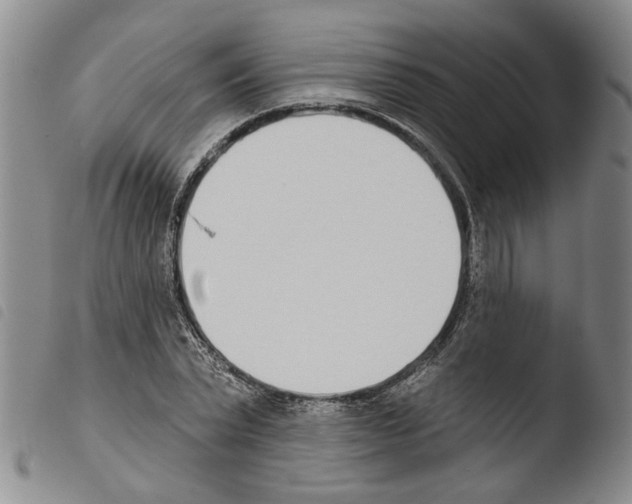 X0000103470783200810241012
