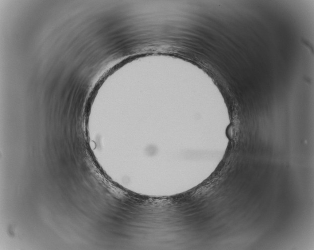 X0000103470784200810241012