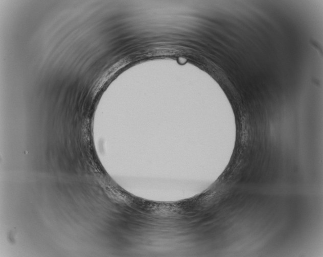 X0000103470786200810241012
