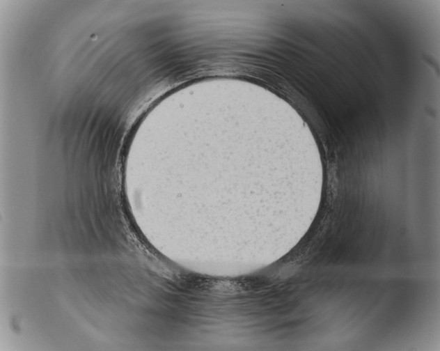 X0000103470787200810241012