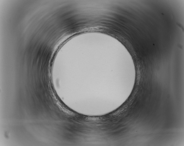 X0000103470792200810241012