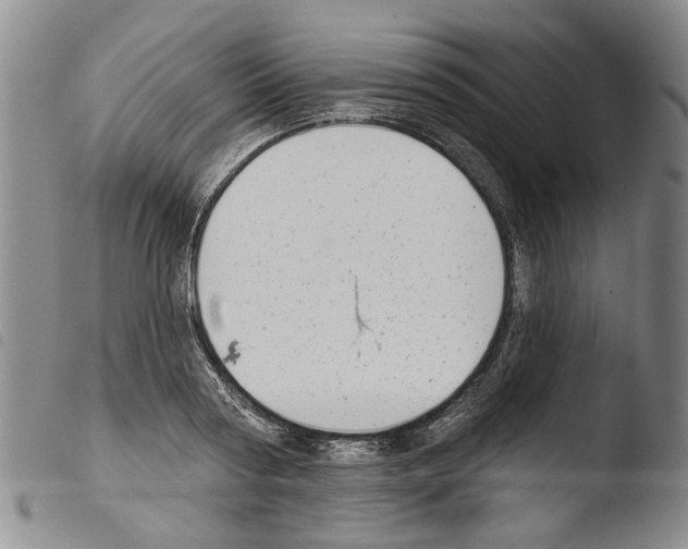 X0000103470794200810241012