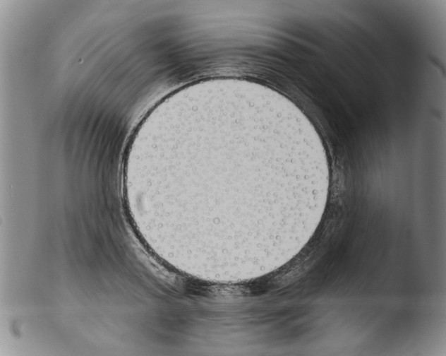 X0000103470795200810241012