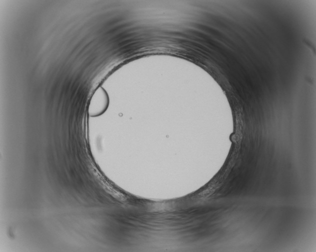 X0000103470796200810241012