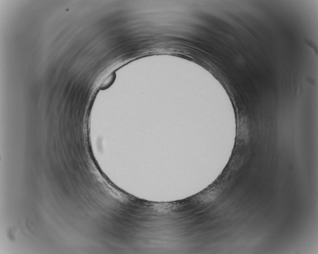 X0000103470803200810241012