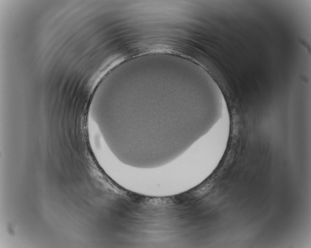X0000103470806200810241012