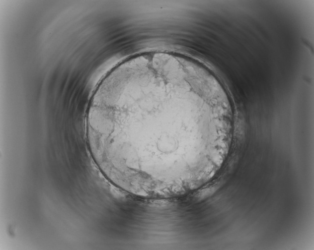 X0000103470807200810241012