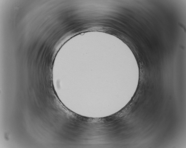 X0000103470808200810241012