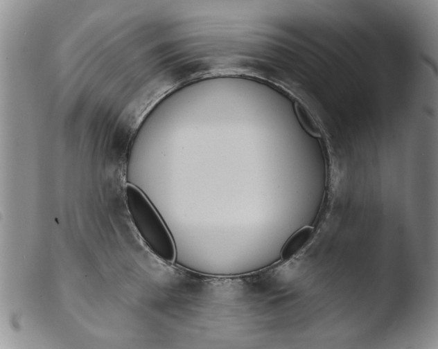 X0000103470809200810241012