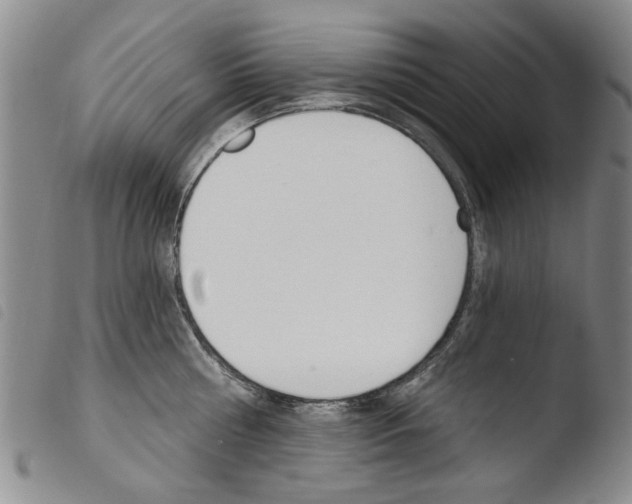 X0000103470810200810241012