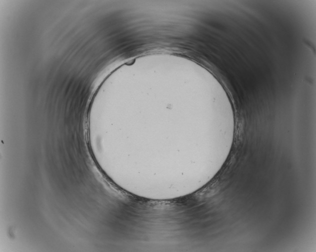 X0000103470811200810241012
