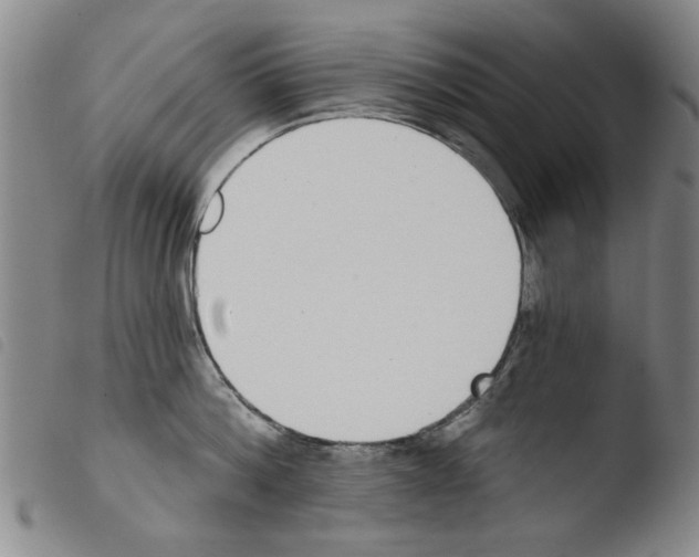 X0000103470812200810241012