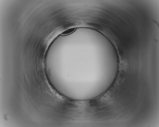 X0000103470813200810241012