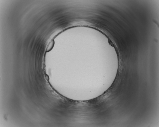 X0000103470815200810241012