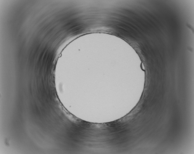 X0000103470816200810241012