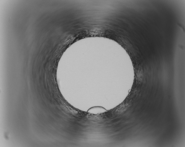 X0000103470817200810241011