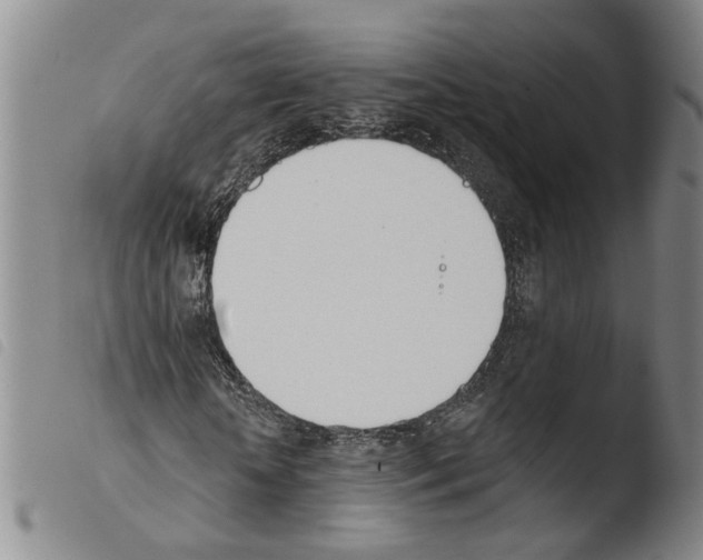 X0000103470818200810241011