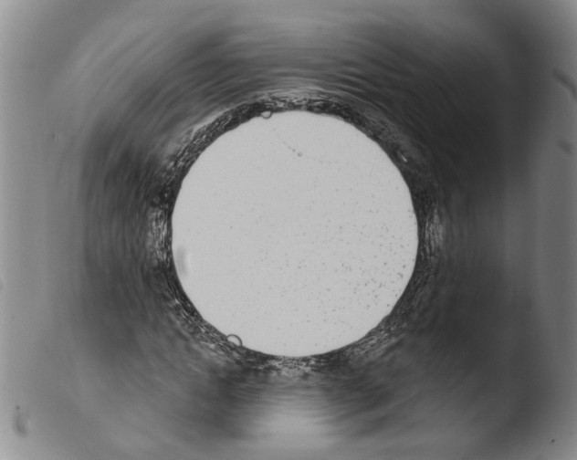 X0000103470822200810241011