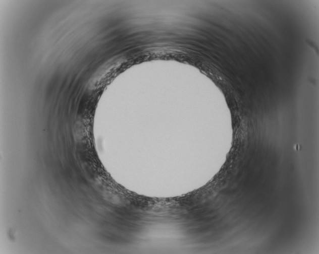 X0000103470824200810241011