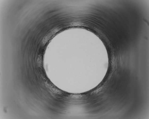 X0000103470825200810241011