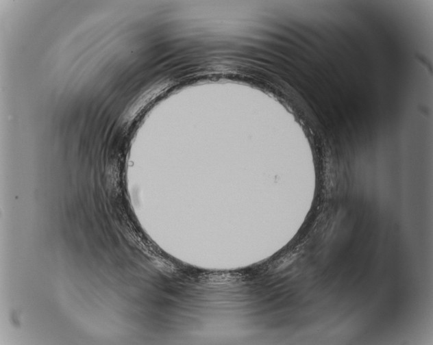 X0000103470826200810241011