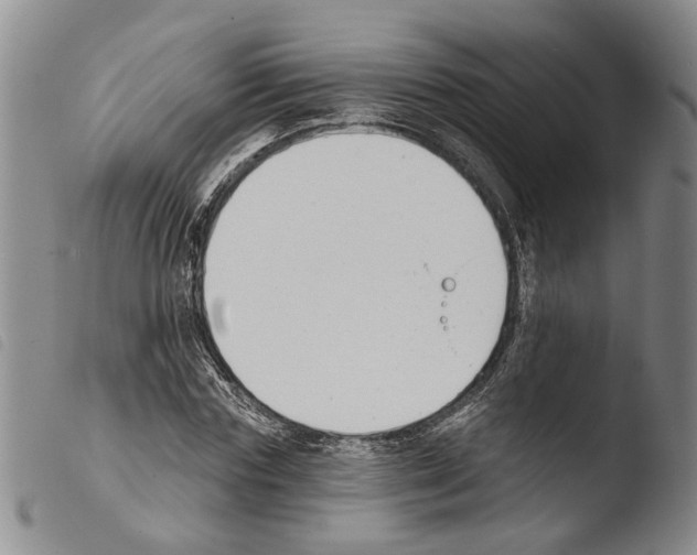 X0000103470827200810241011