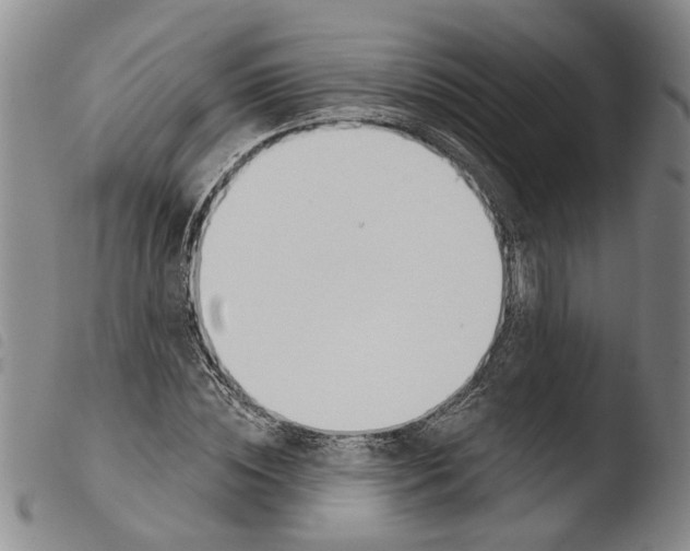X0000103470828200810241011