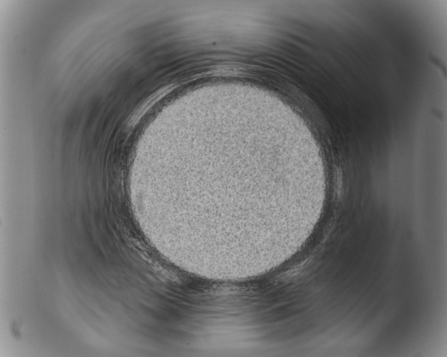 X0000103470829200810241011
