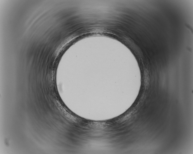 X0000103470831200810241011