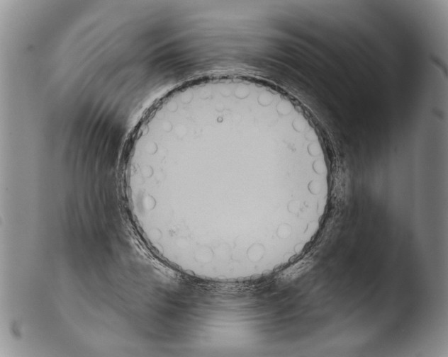 X0000103470832200810241011