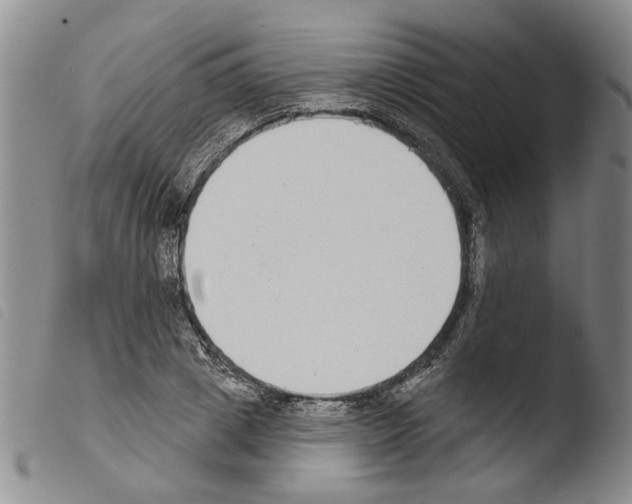 X0000103470833200810241011