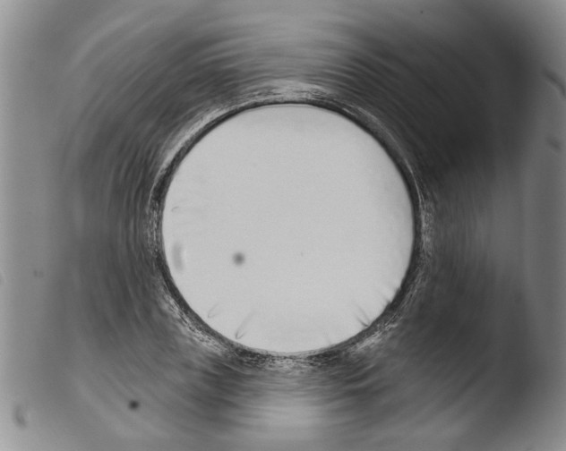 X0000103470835200810241011