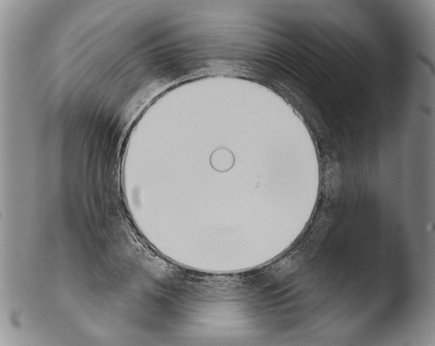 X0000103470836200810241011
