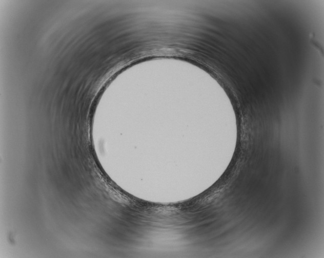 X0000103470837200810241011