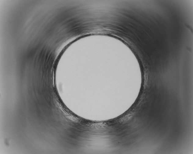 X0000103470838200810241011