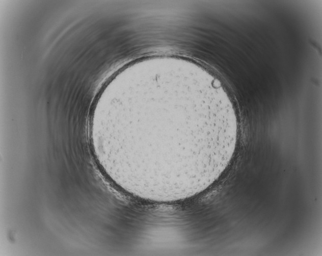 X0000103470839200810241011