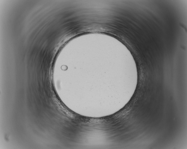 X0000103470840200810241011
