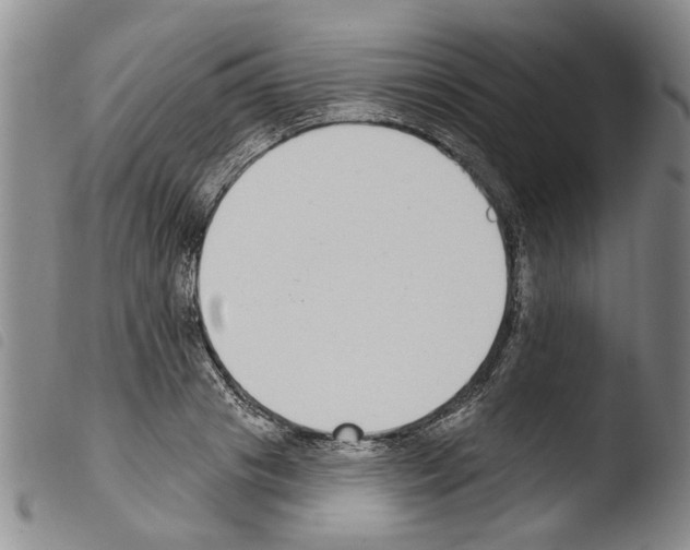 X0000103470841200810241011