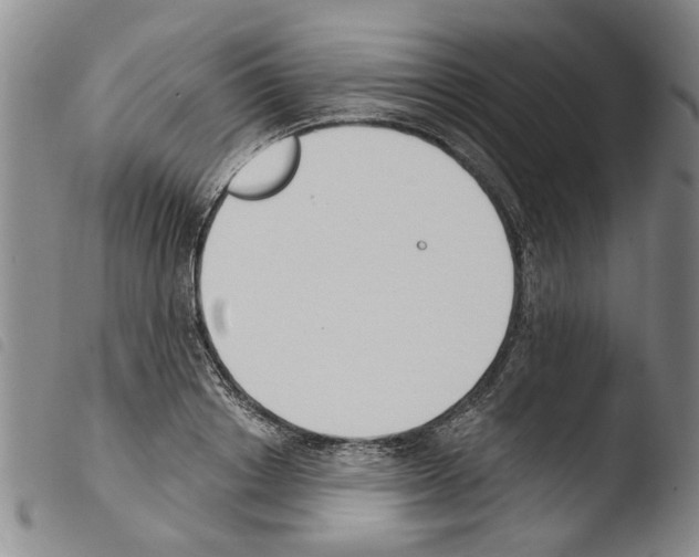 X0000103470842200810241011
