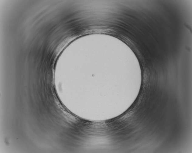 X0000103470844200810241011